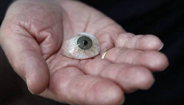 تفاوت چشم شیشه ای و اکریلیک