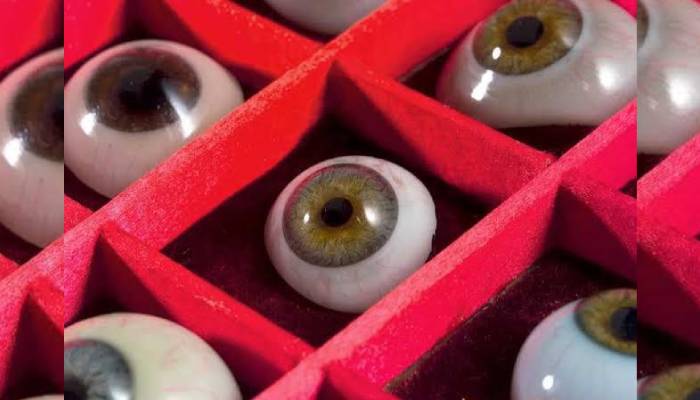 تفاوت چشم شیشه ای و اکریلیک